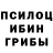 Псилоцибиновые грибы мухоморы Edward Gamaliy