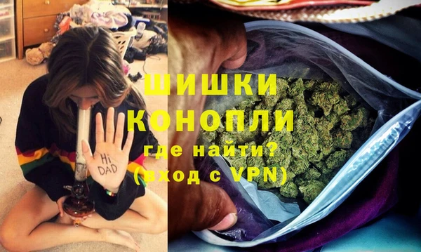 дживик Абаза