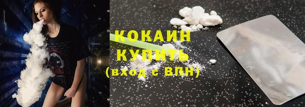 дживик Абаза